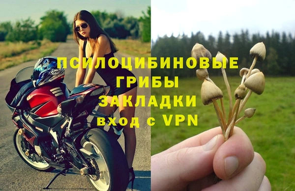 apvp Нефтегорск