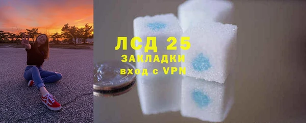хмурый Нея