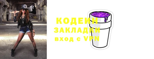 хмурый Нея