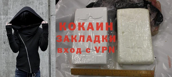 хмурый Нея
