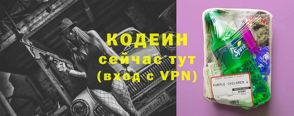 хмурый Нея