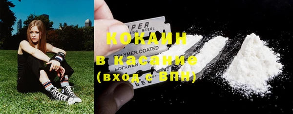 хмурый Нея