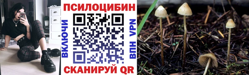 Галлюциногенные грибы мицелий  Салават 